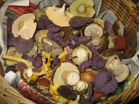 015_1024x768.webp