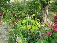 IMG_5776.webp