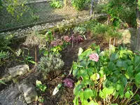 IMG_5778.webp