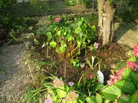 IMG_5777.webp