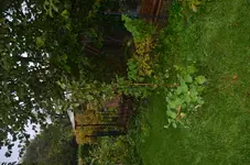 DSC_1892.jpg