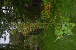 DSC_1894.jpg