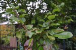 DSC_1895.jpg