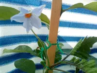 IMG_20170924_110523.webp