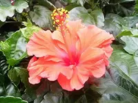 DSCI2296.webp