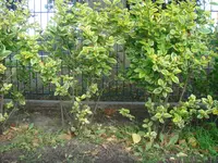 DSC02616.webp