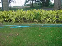 DSC02613.webp