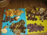 012_1024x768.webp