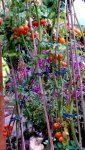 20170922_180859.jpg