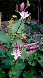 20170921_172423.webp
