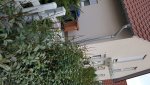 20170923_174732.jpg