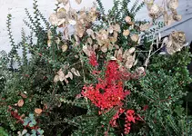 2017hrbst03.webp