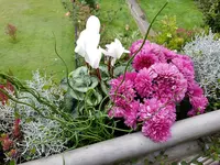 1506323558511715130513.webp