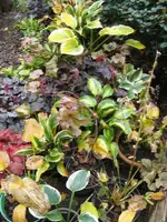 012_576x768.webp