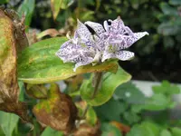 014_1024x768.webp