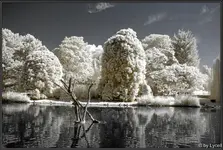 F079.webp