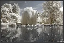 F080.webp