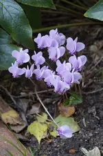 _DSC2254.webp