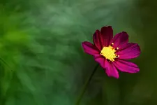 _MG_5378.webp