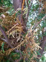 DSC_0209.webp