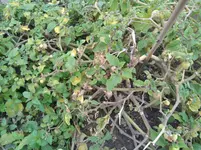 IMG_20170927_173953.webp