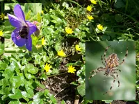 Versuch.webp