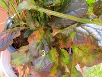 IMG_1417-001.webp