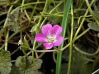 DSCN9733.jpg