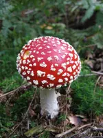 001_576x768.JPG