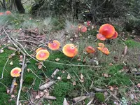 003_1024x768.JPG