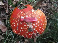 004_1024x768.JPG