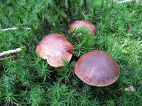 002_1024x768.JPG