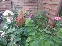 P1020058.webp