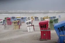 IMGP1659.webp