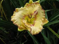 006_1024x768.JPG