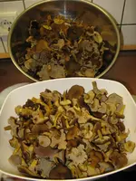 006_576x768.webp