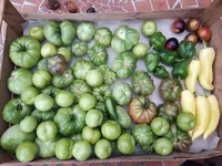 20170930_121850.webp