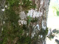 IMG_7963.webp