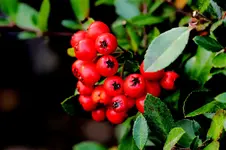 2017-09-22-2415.webp