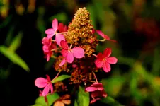 2017-09-22-2417.webp