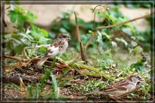comp_DSC03943.webp