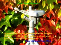 HERBST 2017.webp