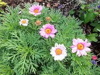 DSCI2556.webp