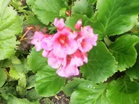 DSCI2182 (2).webp