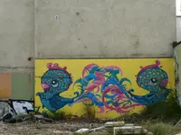 P1020831.webp