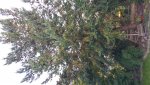 20170930_174837_HDR.jpg