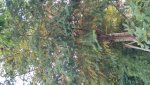 20170930_175045_HDR.jpg
