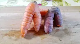 IMG_20171001_104844.webp IMG_20171001_104844.webp