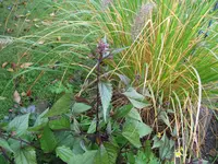 IMG_5785.webp