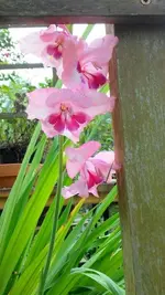 20170930_161433.jpg